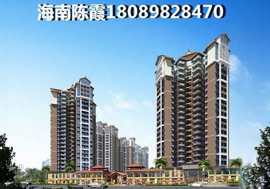 海南琼海什么商铺纸得买？