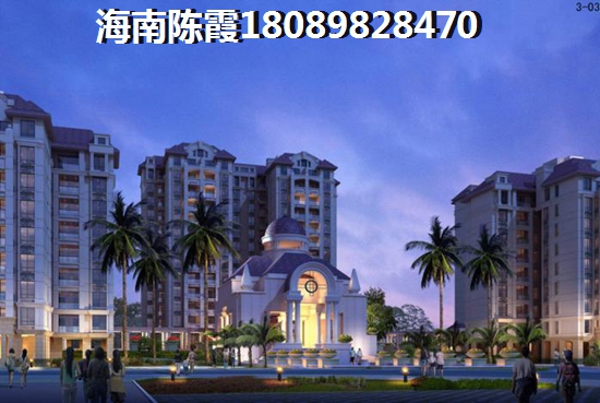 海南买房有touzi价纸吗？