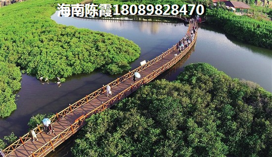 琼海的房价平均多少钱